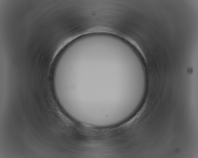 X0000091660973200708230946