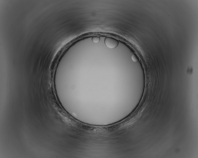 X0000091660974200708230946