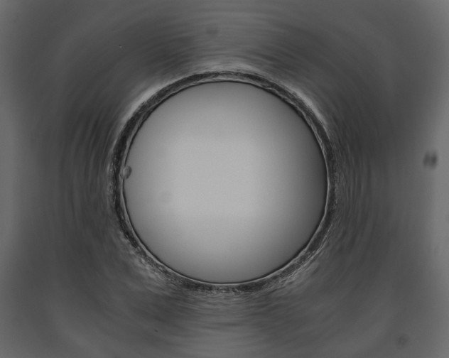 X0000091660975200708230946