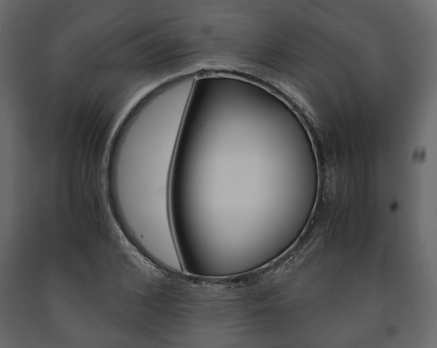 X0000091660976200708230946