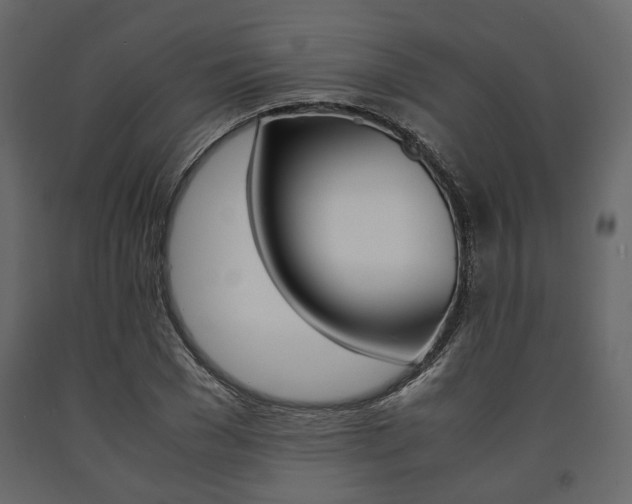 X0000091660977200708230946