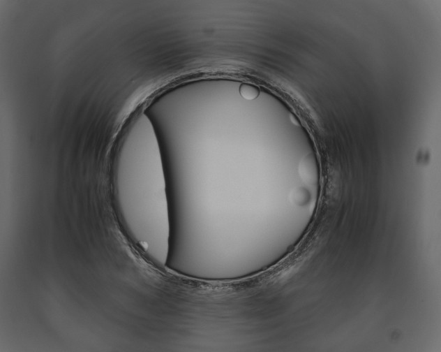 X0000091660978200708230946