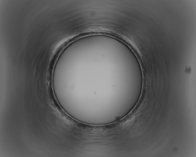 X0000091660979200708230946