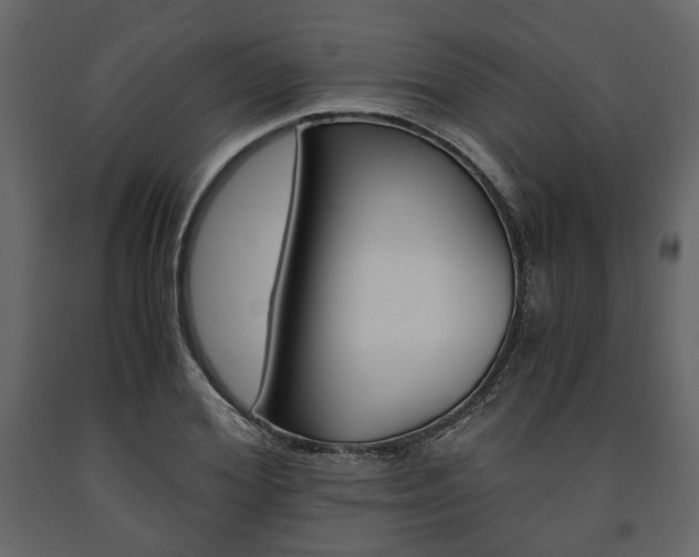 X0000091660980200708230946