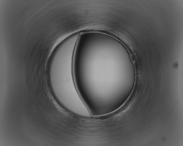 X0000091660981200708230946