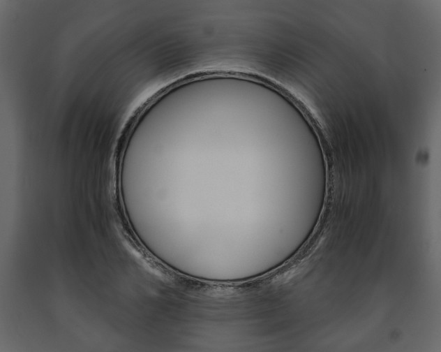 X0000091660982200708230946