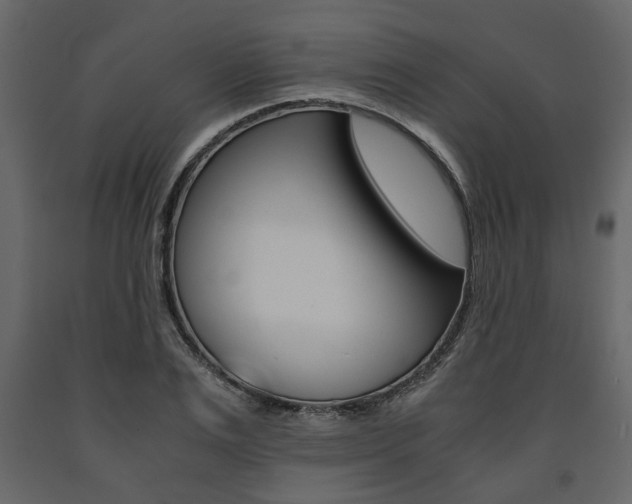 X0000091660983200708230946