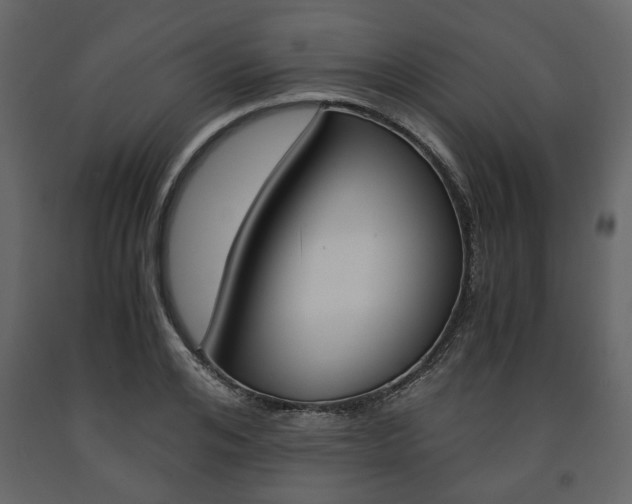 X0000091660984200708230946