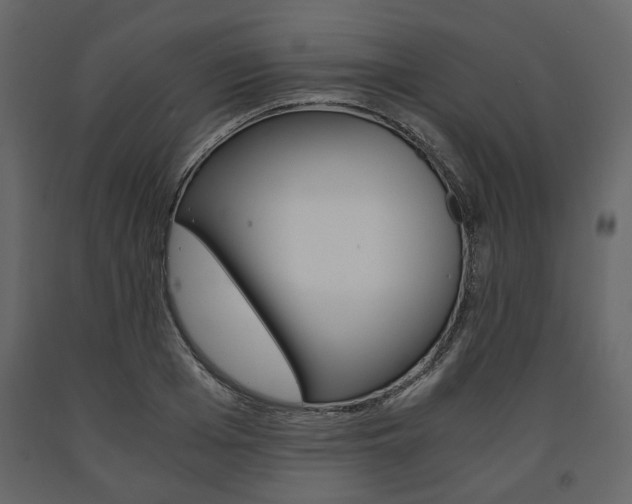 X0000091660985200708230946