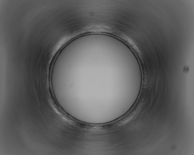 X0000091660986200708230946