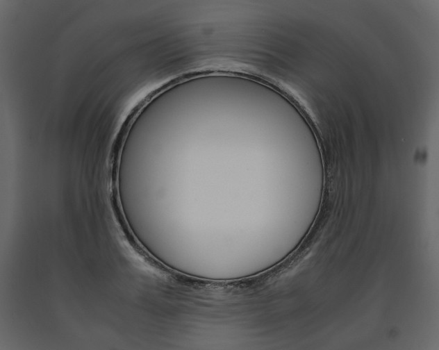 X0000091660987200708230946
