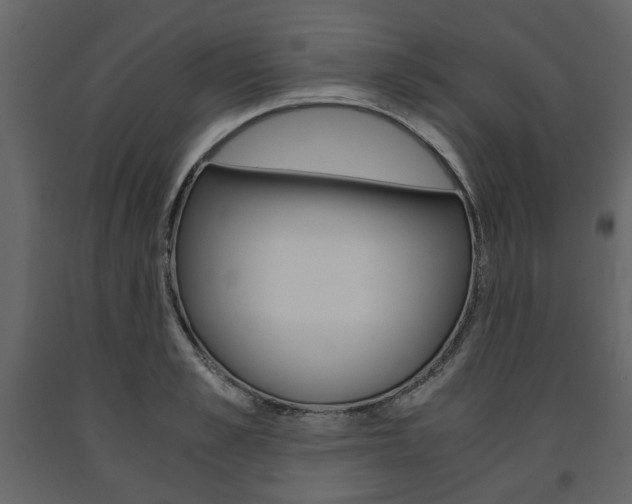 X0000091660989200708230946