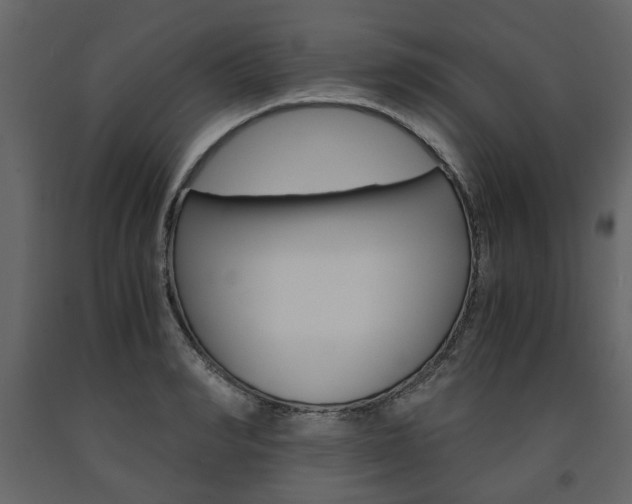X0000091660990200708230946