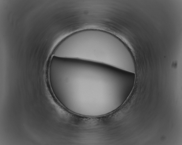 X0000091660991200708230946