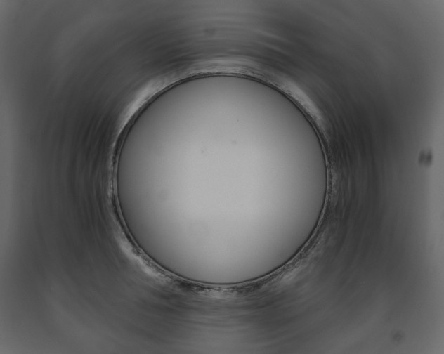 X0000091660994200708230946