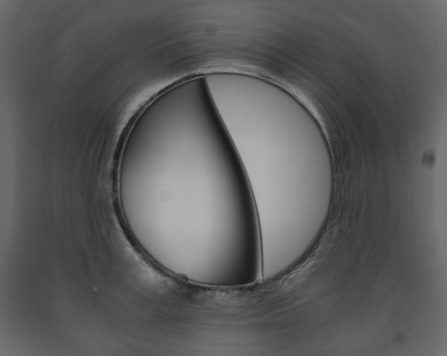X0000091660995200708230946