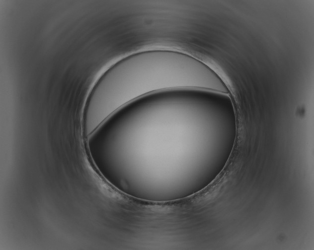 X0000091660996200708230946