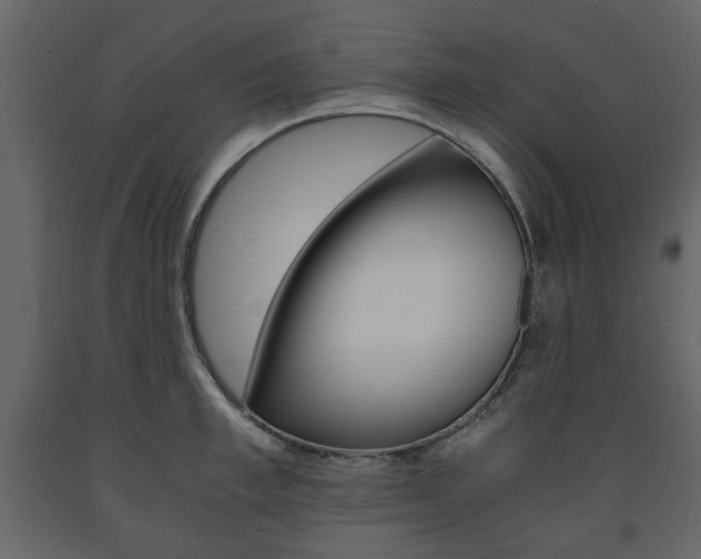 X0000091660997200708230946