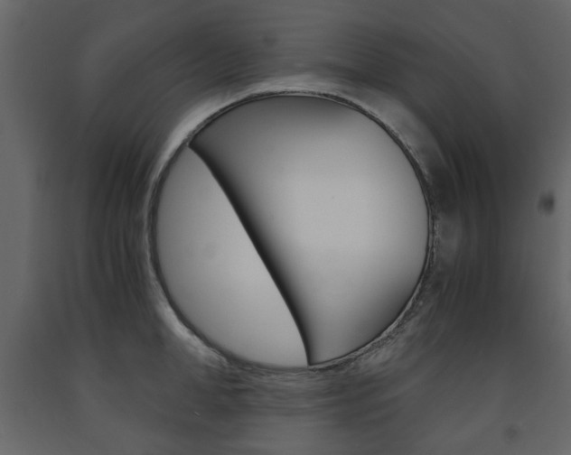 X0000091660998200708230946