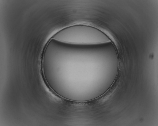 X0000091660999200708230946