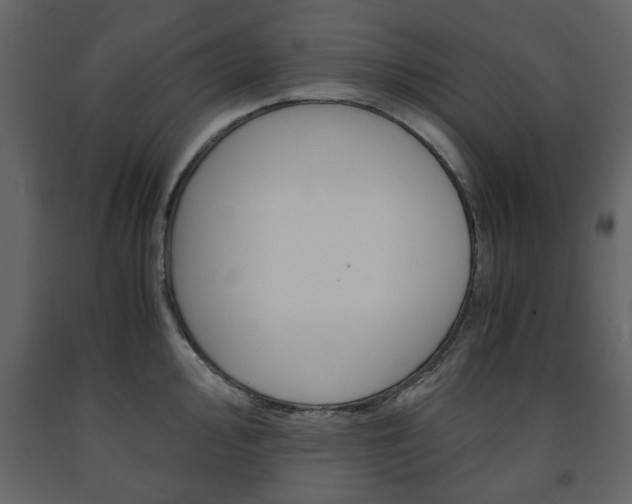 X0000091661000200708230946