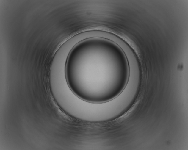 X0000091661001200708230946