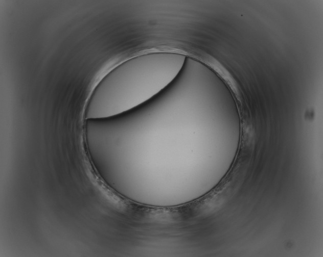 X0000091661002200708230946