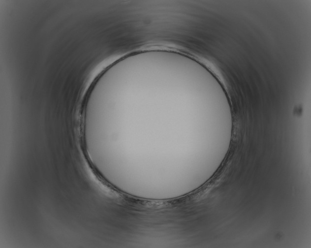 X0000091661003200708230946