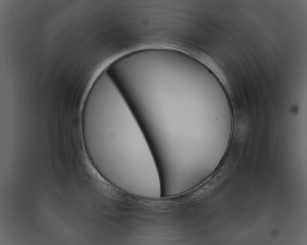 X0000091661004200708230946
