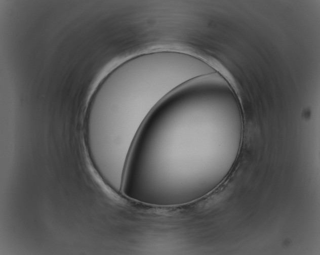 X0000091661005200708230946