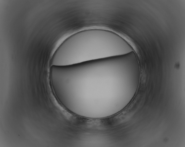 X0000091661006200708230946