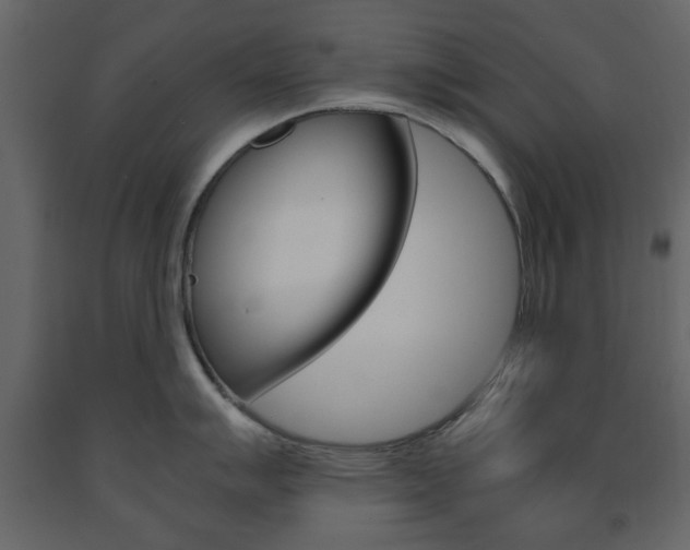 X0000091661007200708230946
