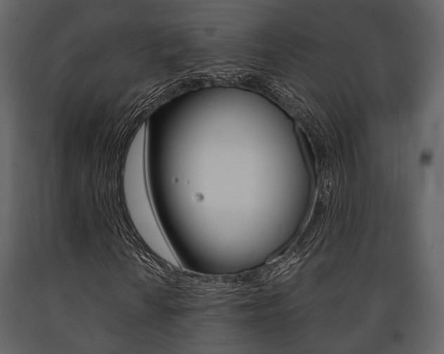 X0000091661010200708230945