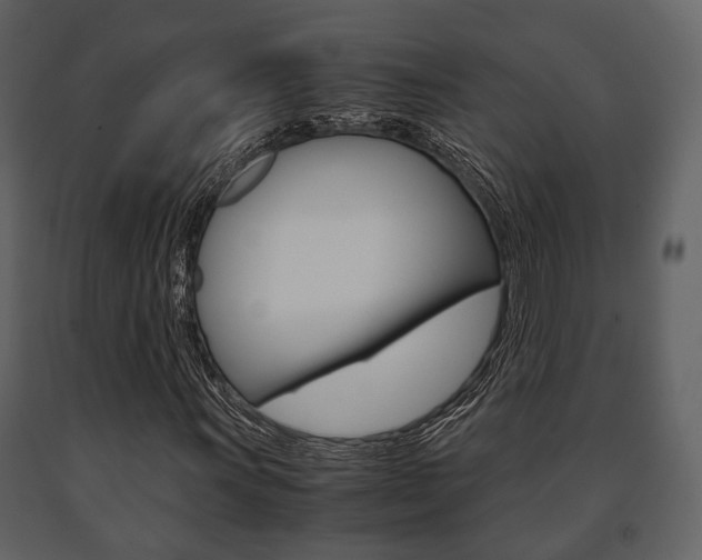 X0000091661011200708230945