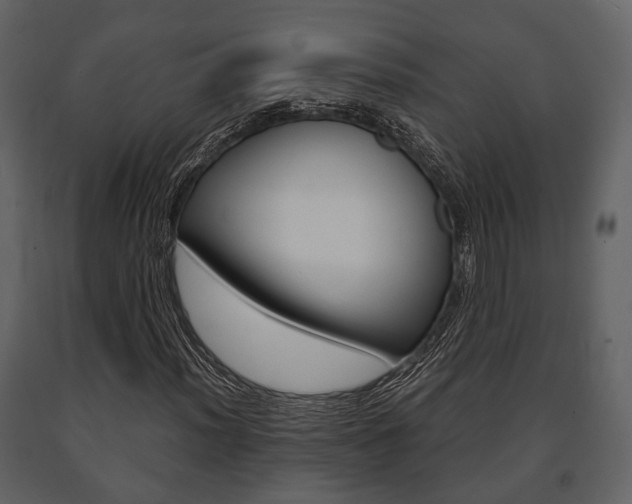 X0000091661012200708230945