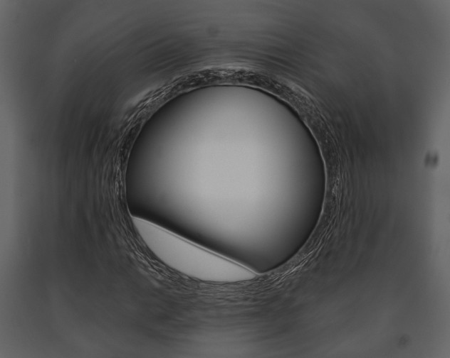 X0000091661014200708230945