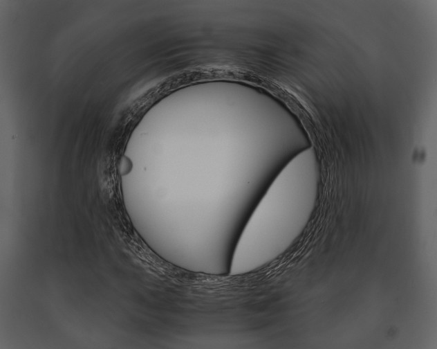 X0000091661015200708230945