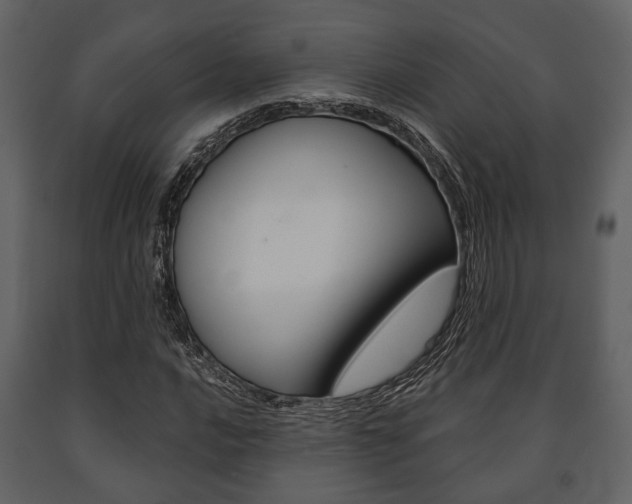 X0000091661016200708230945
