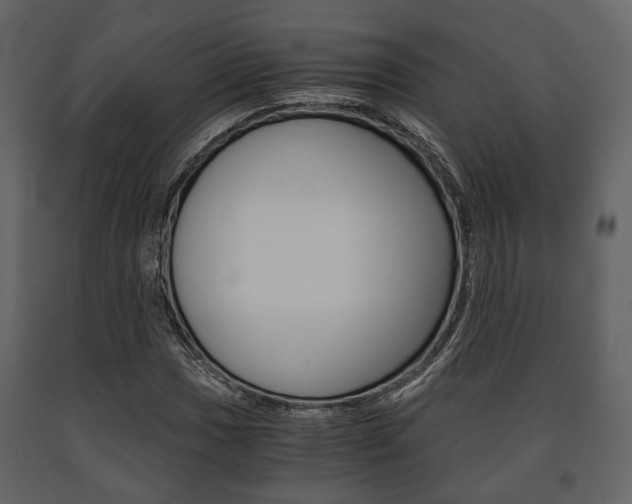 X0000091661017200708230945