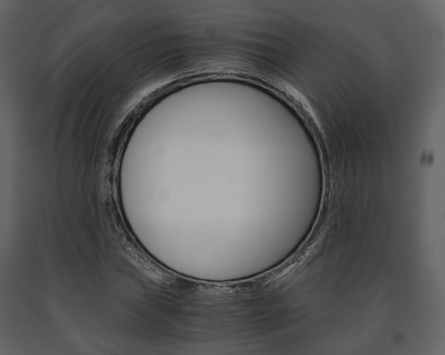 X0000091661019200708230945