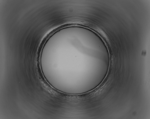 X0000091661020200708230945