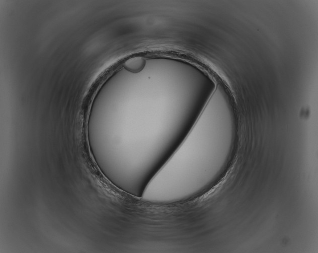 X0000091661021200708230945