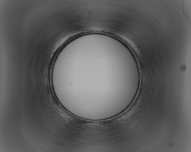 X0000091661023200708230945