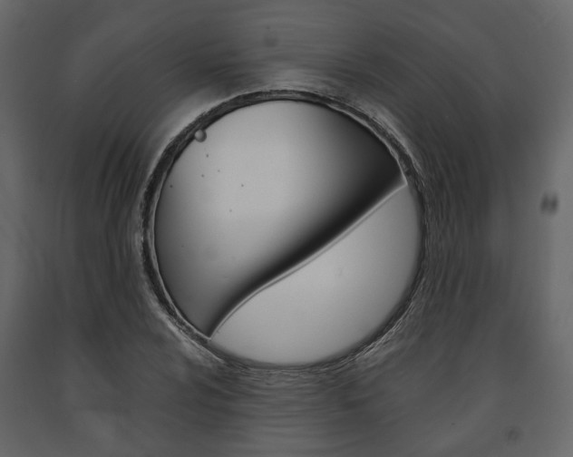 X0000091661024200708230945