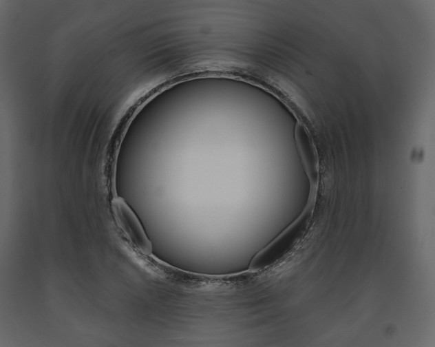 X0000091661026200708230945