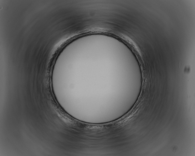 X0000091661027200708230945