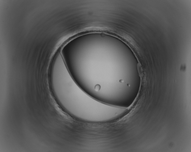 X0000091661030200708230945
