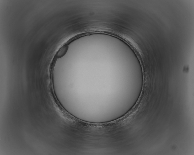 X0000091661031200708230946
