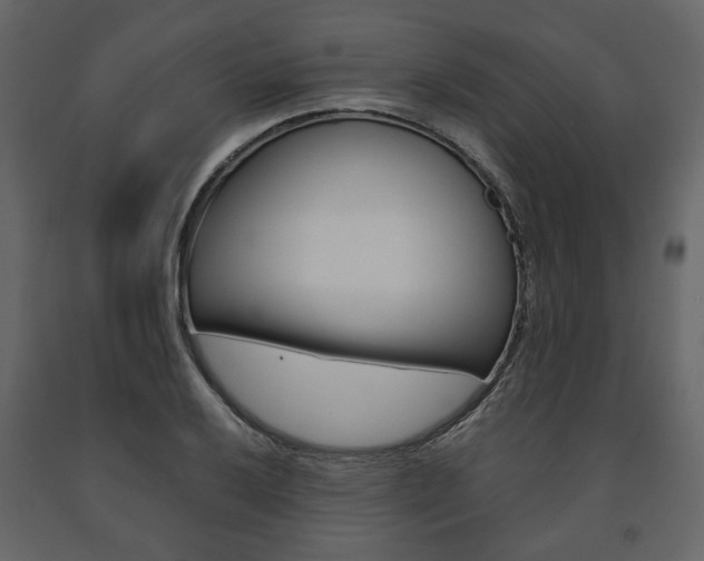 X0000091661032200708230946