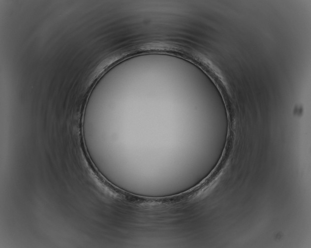 X0000091661033200708230946